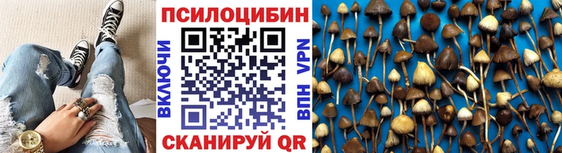 hydra онион  Хабаровск  Псилоцибиновые грибы GOLDEN TEACHER 