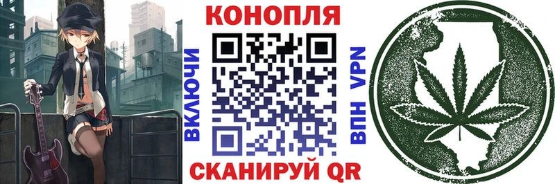 купить  сайты  shop какой сайт  Бошки марихуана индика  Хабаровск 